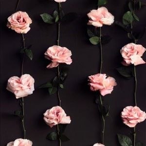 Meet your Posher, Monique